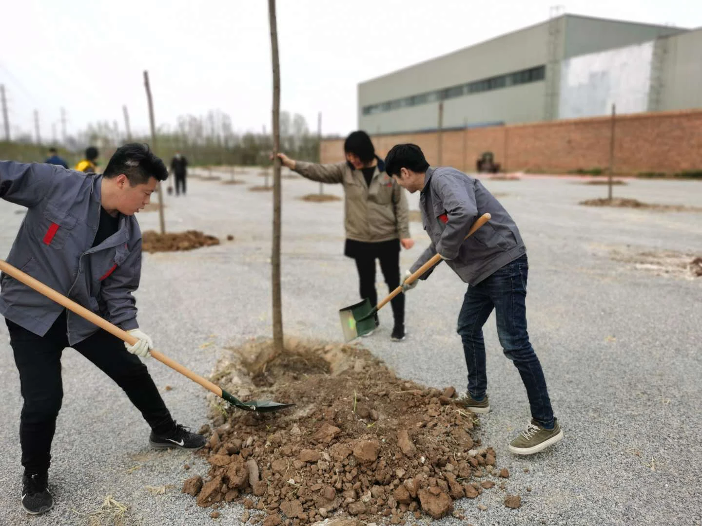 Our company Tree planting activities conducted on March 27, 2020, and planting 100 saplings