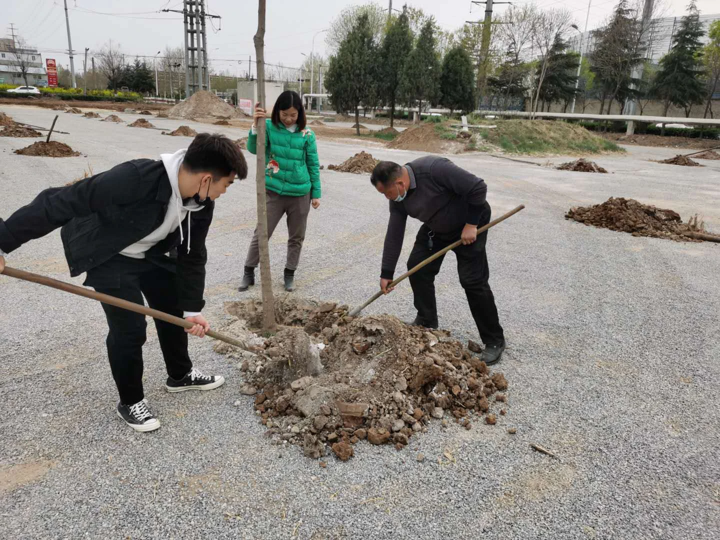 Our company Tree planting activities conducted on March 27, 2020, and planting 100 saplings